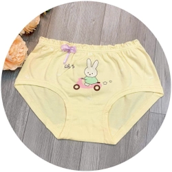 Quần chip bé gái vải cotton họa tiết thỏ dễ thương size 15 - 35kg 466370