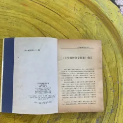 BÁCH XÍCH LÂU BÍ MẬT VĂN HOÁ - bản Tiếng Trung  1030261