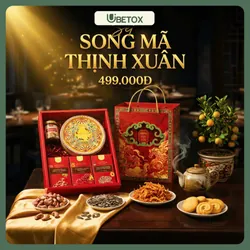 Sét  quà tết 2026- Song mã thịnh xuân (kèm túi)  737056