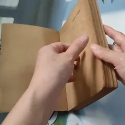 [XƯA] Homo Faber (1986) - Max Frisch 776069