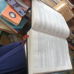 Anh Hùng Đông A Dựng Cờ Bình Mông - Yên Tử Cư Sĩ Trần Đại Sỹ 1027925