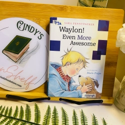 [Sách 2hand từ US] Like new 85% - Waylon! Even More Awesome - Sara Pennypacker