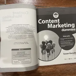 Content Marketing for Dummies  (6) 733484