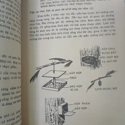 DẠY KHOA HỌC CĂN BẢN - RITA LANGLEY 735328