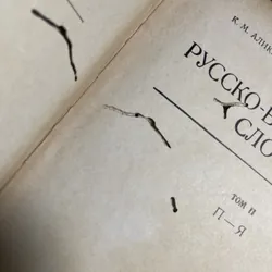 Từ điển Nga Việt XB 1977 706024