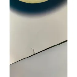 Animal Magic – Cherie Zamazing 561103