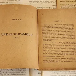 Tác phẩm văn học cổ điển Pháp của nhà văn Émile Zola 719388