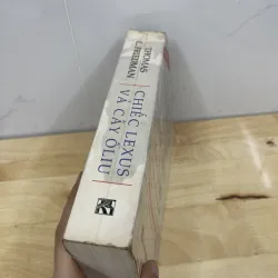 Chiếc LExus và Cây Ô LIU  776120