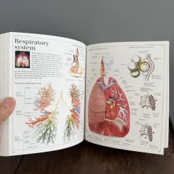 Từ điển màu Pocket visual dictionary mới 99.9% 791726