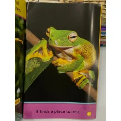 Odd Animals – National Geographic Kids 559539