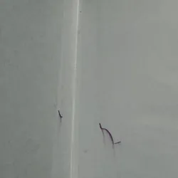 Combo trăm năm + thổ tả bìa cứng 722677