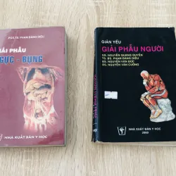 GIẢI PHẪU NGƯỜI - GIẢI PHẪU NGỰC BỤNG