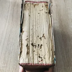 VIỆT NAM TÂN TỰ ĐIỂN 1966 995118