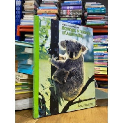 Strange Animals of Australia : Koalas and Kangaroos 550886