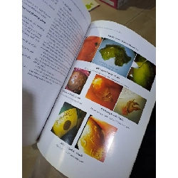 Tạp chí khoa học tiêu hóa việt nam tậpVI số 22 mới 90% 2011 HCM0808 TẠP CHÍ, THIẾT KẾ, THỜI TRANG 923673