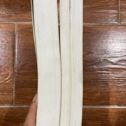 Hồ Tuyết Nham bộ 2 tập (k19) 501219