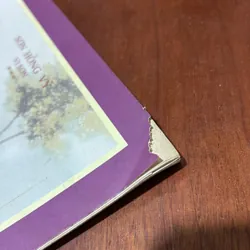 II Nhạc Cụ, Âm Nhạc: Tự Học Sáo _ Độc Tấu Đệm Thở (Tập 1) - Sơn Hồng Vỹ (Vi Sơn) - 2004 727051