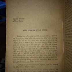 Bức tranh toàn cảnh  784604