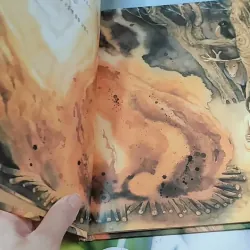 [Tặng nẹp góc] Truyện thiếu nhi Hàn Quốc: Moyamo Anu 22 -  모야모 아누와: 모기는 어떻게 생겨났는가;. 보여요?  732014