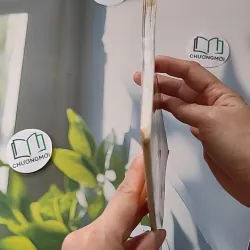 Chủ Tịch Hồ Chí Minh: Chúng Ta Học Gì 928559