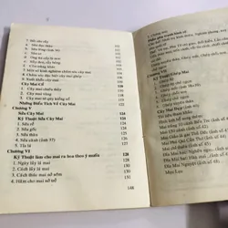 KỸ THUẬT TRỒNG VÀ GHÉP MAI 595067
