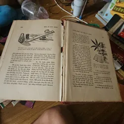 Bảo vệ sức khỏe (bìa cứng, rách vài trang)
 698677