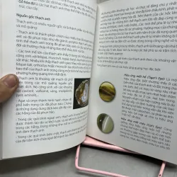 Nghệ thuật thưởng ngoạn đá cảnh 971284