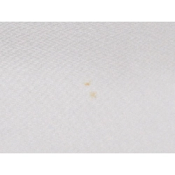 小紋 - Hàng hiệu Chính hãng 877320