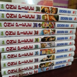 Combo 10 cuốn One Piece bìa áo tùy chọn 222554