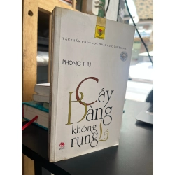 Cây bàng không rụng lá - Phong Thu 180003
