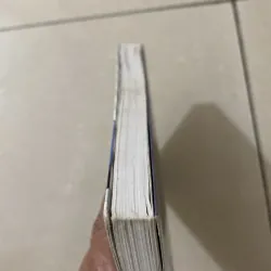 Báo cáo chính phủ - Hàn Thiếu Công 1033344