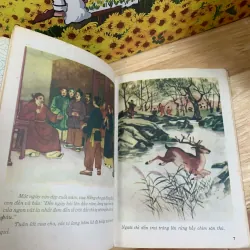 Bánh Chưng Bánh Dày 927961