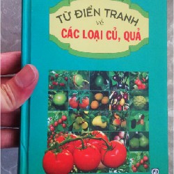 Từ Điển Tranh Về Các Loại Củ, Quả 8160