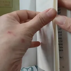 Đề Cương Về Văn Hóa Việt Nam Năm 1943 - Giá Trị Lịch Sử Và Hiện Thực - PGS. TS. Nguyễn Đì 727249