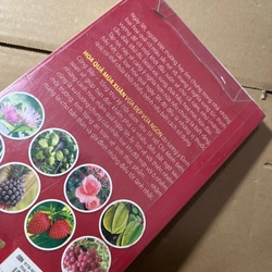 Hoa Quả Mùa Xuân 528298