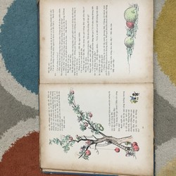 Những cuộc phiêu lưu của Mít Đặc và các bạn - NXB Cầu VỒng (chỉ được tặng khi mua đơn 300k 139253