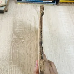 XUNG KÍCH – Nguyễn Đình Thi 928949