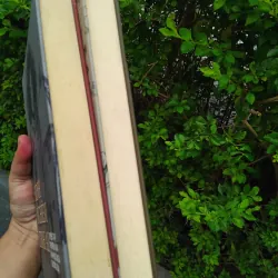 Đôi cánh + Kinh nghiệm tình ái combo 1002602