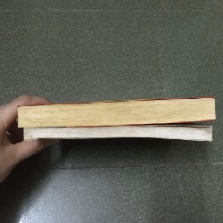 Người đàn ông bí ẩn + Sherlock Homes 3871