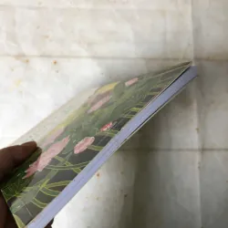 Miền Tây Lạ Lắm À Nghen - Trương Chí Hùng 1001998