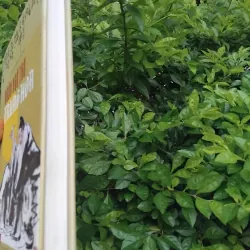 Ngôn ngữ thơ Trung Hoa của Francois Cheng  1001942