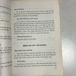 Phòng trừ sâu bệnh cây cảnh 790669