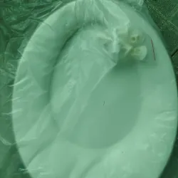 Nắp bồn cầu thay thế mới 100% 756751