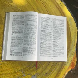 THUỐC BỆNH VÀ CÁCH SỬ DỤNG- DS PHẠM THIỆP - DS VŨ NGỌC THUÝ 695150