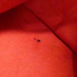 Túi Louis Vuitton Damier Saleya PM N51183 616732