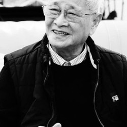 Bông Hồng vàng và bình minh mưa  150253