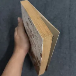 Chỉ nhớ người thôi đủ hết đời - Du Tử Lê 760814