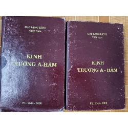 Kinh Trường A Hàm - 2000 - 1165 trang - TÂM LINH - TÔN GIÁO - THIỀN - STLTGTRUNGAHAMSTLTGANTQ3112-130