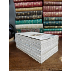 TRUYỆN TRANH NƯỚC MẮT THÁNH NỮ 378488