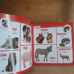 Tiếng Anh Bằng Hình (Bộ 4 Cuốn) - Tịnh Lâm biên soạn 673856